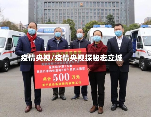 疫情央视/疫情央视探秘宏立城