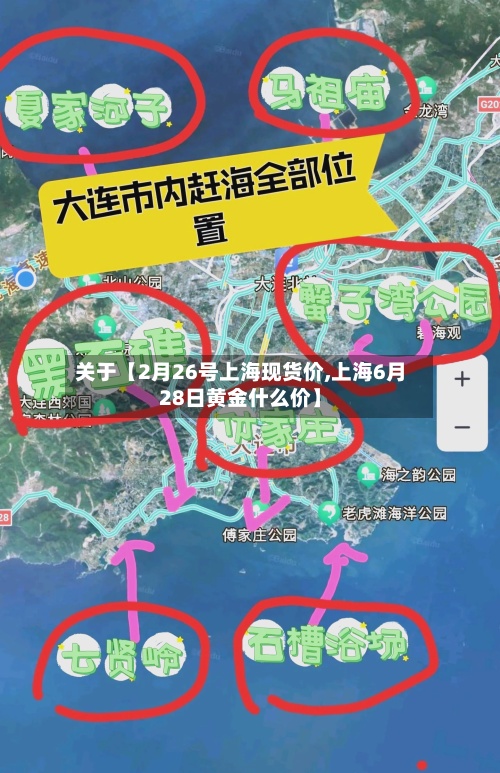 关于【2月26号上海现货价,上海6月28日黄金什么价】-第3张图片