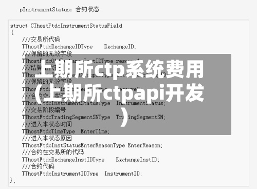 上期所ctp系统费用
(上期所ctpapi开发)-第3张图片
