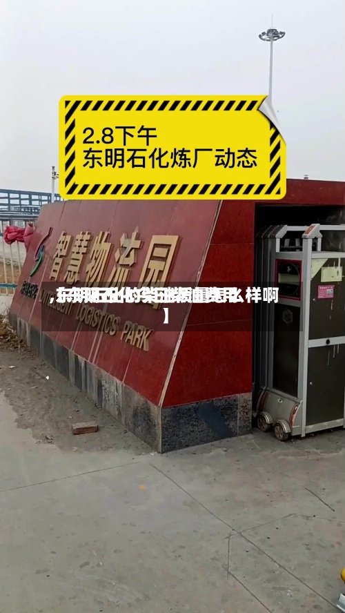 【东明石化今日柴油费用
,东明石化的柴油质量怎么样啊】-第3张图片