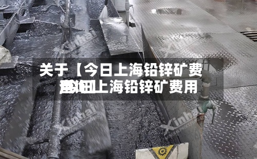 关于【今日上海铅锌矿费用,今日上海铅锌矿费用查询】-第3张图片