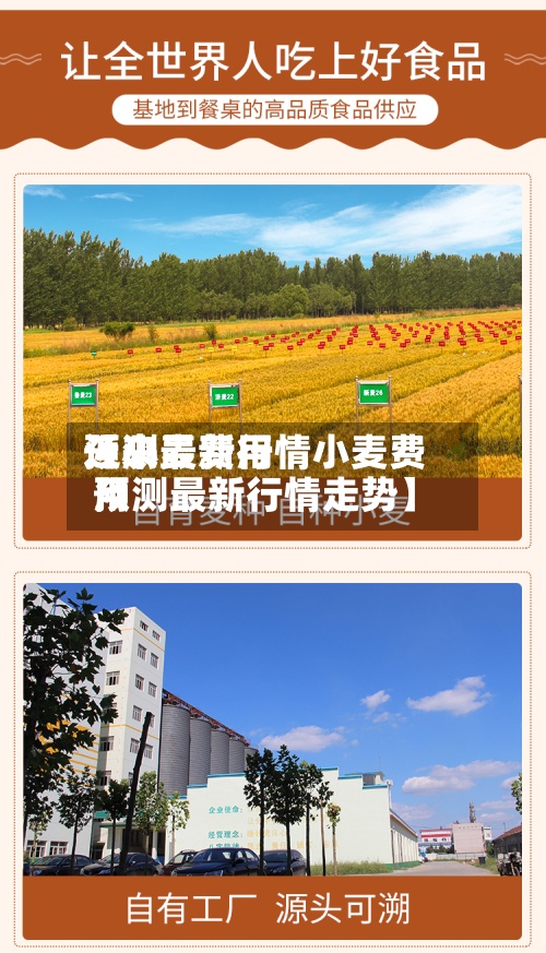 近来【小麦费用预测最新行情小麦费用预测最新行情走势】-第3张图片