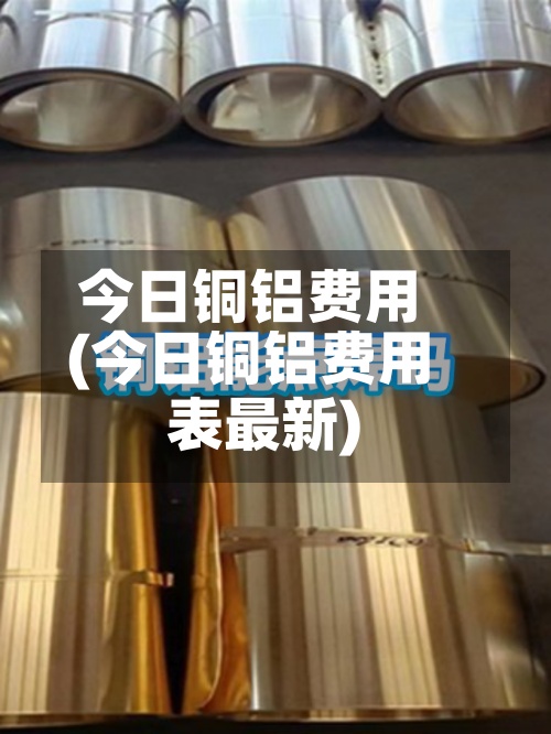 今日铜铝费用
(今日铜铝费用
表最新)-第2张图片