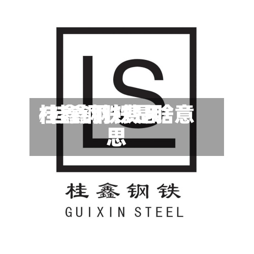 桂鑫钢铁费用/桂鑫钢铁是啥意思
