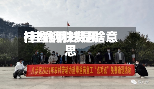 桂鑫钢铁费用
/桂鑫钢铁是啥意思-第2张图片