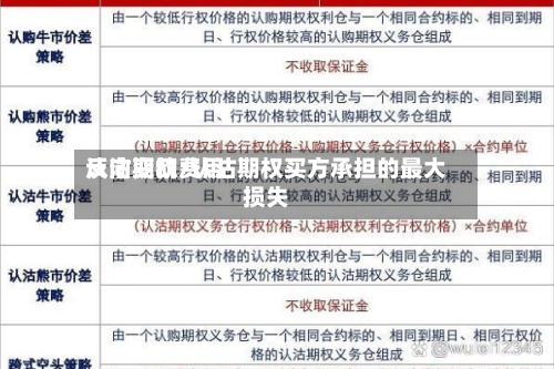 认沽期权费用反向变动/认沽期权买方承担的最大损失