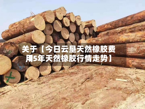 关于【今日云垦天然橡胶费用,25年天然橡胶行情走势】