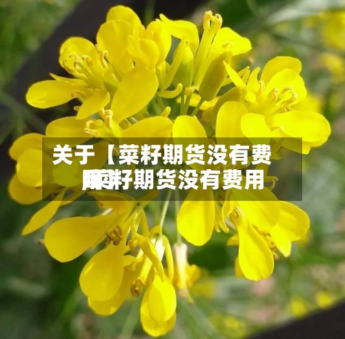 关于【菜籽期货没有费用
,菜籽期货没有费用
吗】-第2张图片