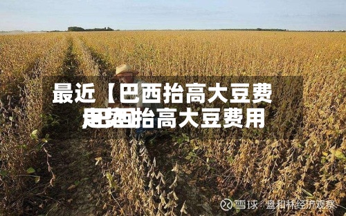 最近【巴西抬高大豆费用,巴西抬高大豆费用走势】