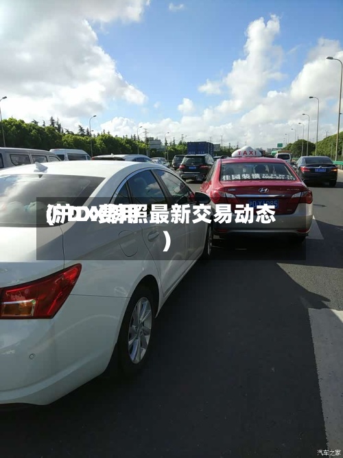 沪DX费用
(沪DX牌照最新交易动态)-第2张图片