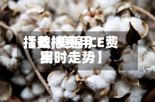 【美棉费用指数,美棉ICE费用实时走势】