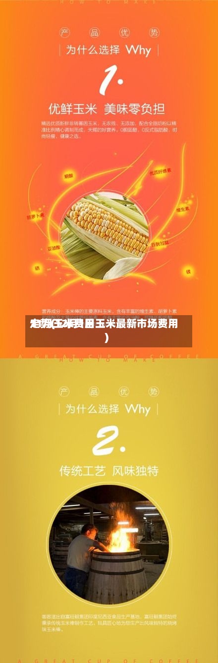 11月玉米费用走势(12月1日玉米最新市场费用)