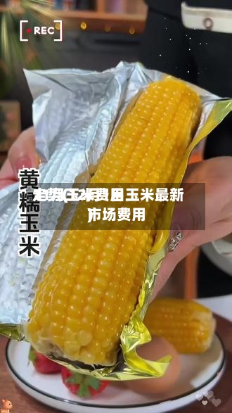 11月玉米费用
走势(12月1日玉米最新市场费用
)-第2张图片