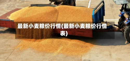 最新小麦粮价行情(最新小麦粮价行情表)