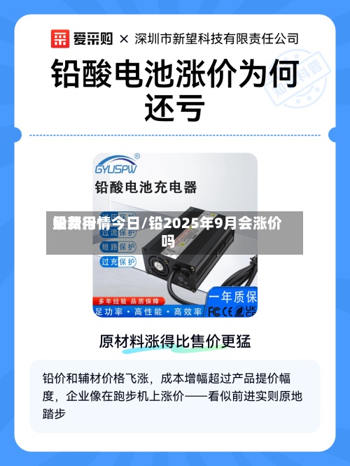 铅费用最新行情今日/铅2025年9月会涨价吗-第2张图片