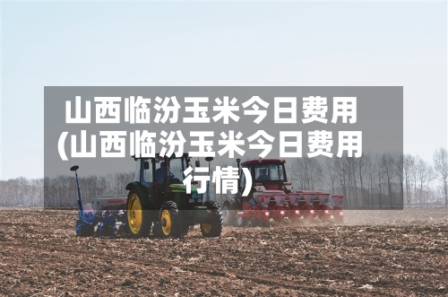 山西临汾玉米今日费用
(山西临汾玉米今日费用
行情)-第2张图片