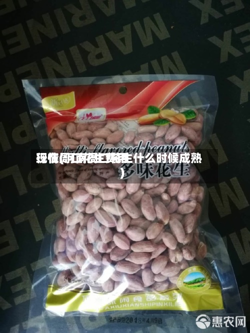 现在周口花生费用
行情(河南周口花生什么时候成熟)-第2张图片