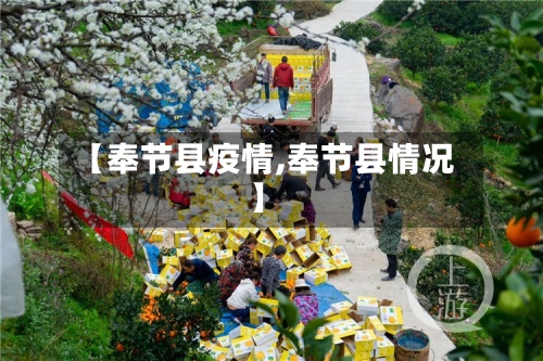 【奉节县疫情,奉节县情况】