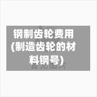 钢制齿轮费用(制造齿轮的材料钢号)