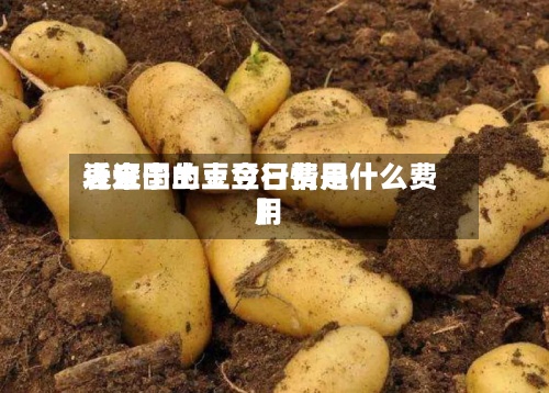近来【辽宁土豆今日费用表全国的土豆行情是什么费用】-第2张图片