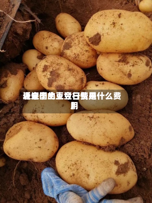 近来【辽宁土豆今日费用表全国的土豆行情是什么费用】-第3张图片