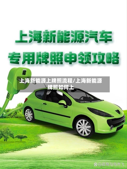 上海新能源上牌照流程/上海新能源牌照如何上
