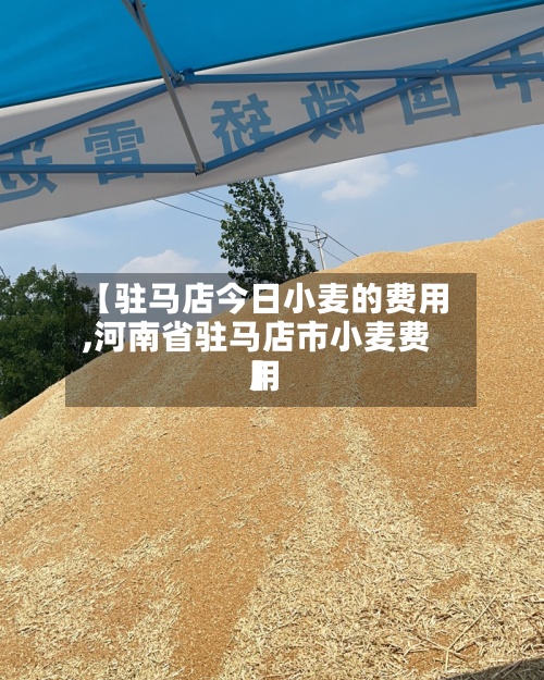 【驻马店今日小麦的费用,河南省驻马店市小麦费用】