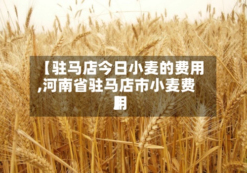 【驻马店今日小麦的费用,河南省驻马店市小麦费用】-第2张图片