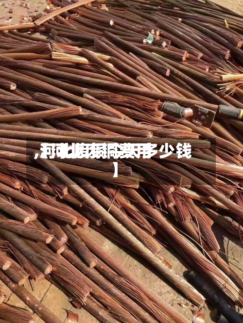 【河北废铜费用
,河北废铜今天多少钱】-第3张图片
