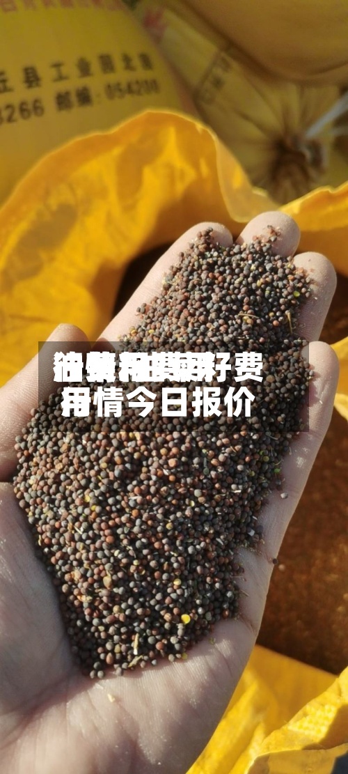 油菜籽费用
油费用
行情/油菜籽费用
行情今日报价-第2张图片