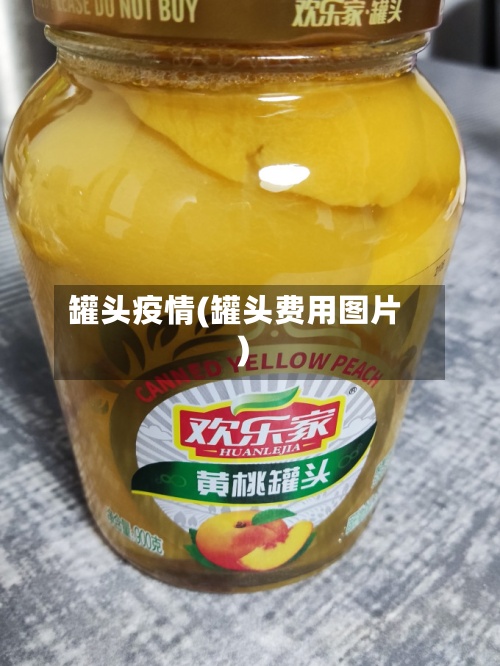 罐头疫情(罐头费用图片)