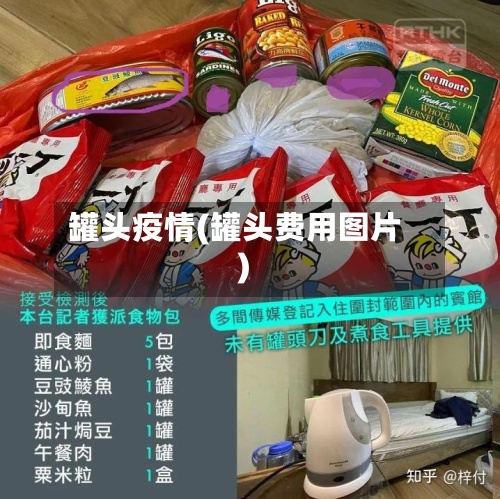 罐头疫情(罐头费用图片)-第2张图片