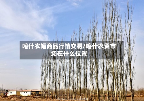 喀什农幅商品行情交易/喀什农贸市场在什么位置