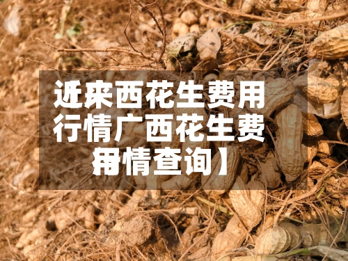 近来
【广西花生费用
行情广西花生费用
行情查询】-第2张图片