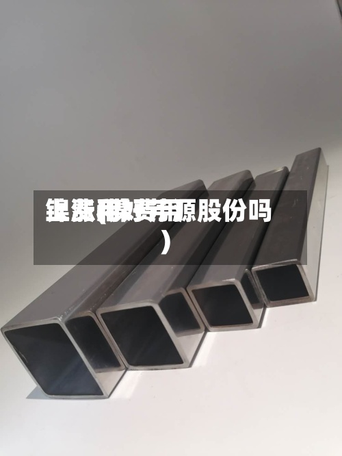 镍费用
上涨(镍费用
上涨利好芳源股份吗)-第2张图片