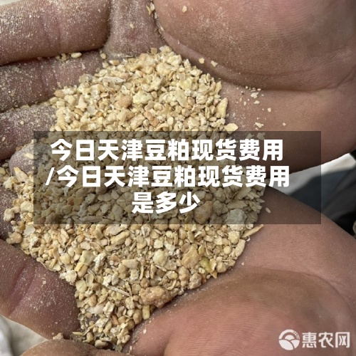 今日天津豆粕现货费用
/今日天津豆粕现货费用
是多少-第3张图片