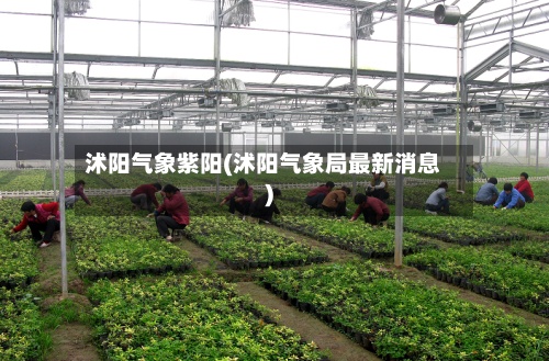 沭阳气象紫阳(沭阳气象局最新消息)-第3张图片