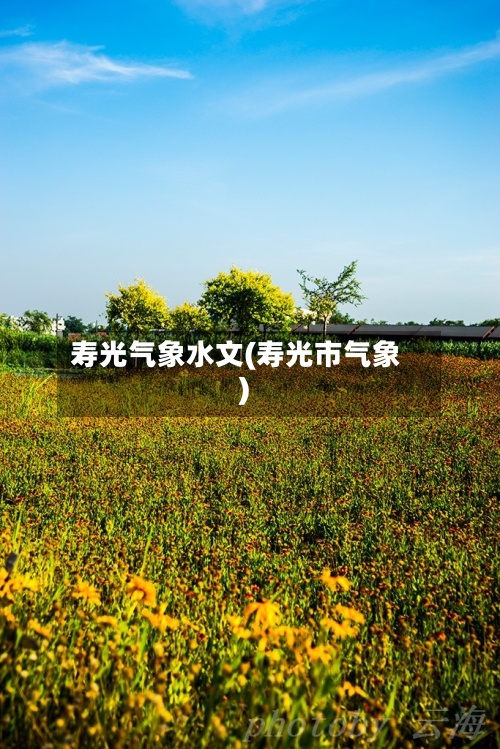 寿光气象水文(寿光市气象)