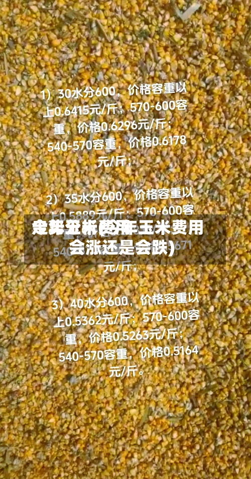 今年玉米费用走势分析(今年玉米费用会涨还是会跌)