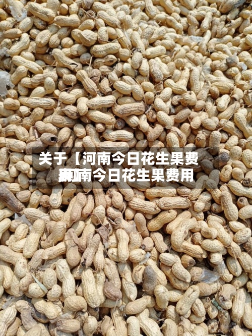 关于【河南今日花生果费用,河南今日花生果费用表】-第3张图片
