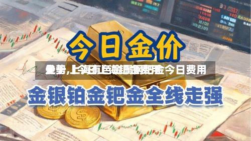 关于【今日上海钯金费用
走势,上海有色金属网钯金今日费用
】-第2张图片