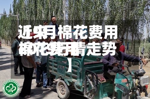 近来
【9月棉花费用
棉花费用
2019行情走势】-第2张图片
