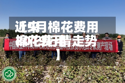 近来
【9月棉花费用
棉花费用
2019行情走势】-第3张图片
