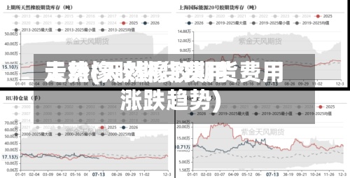 天然橡胶期货费用走势(天然橡胶期货费用涨跌趋势)-第2张图片