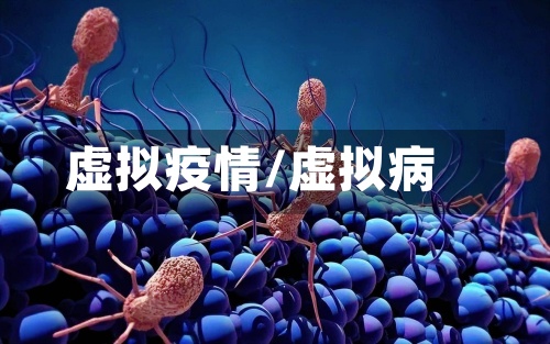 虚拟疫情/虚拟病