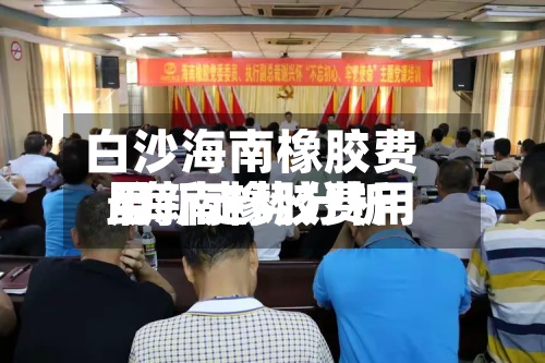 白沙海南橡胶费用
/海南橡胶费用
最新走势分析-第3张图片