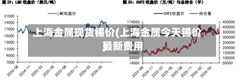 上海金属现货锡价(上海金属今天锡价最新费用
)-第2张图片