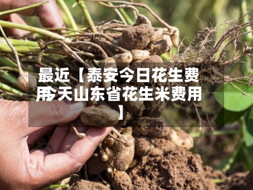 最近【泰安今日花生费用,今天山东省花生米费用】