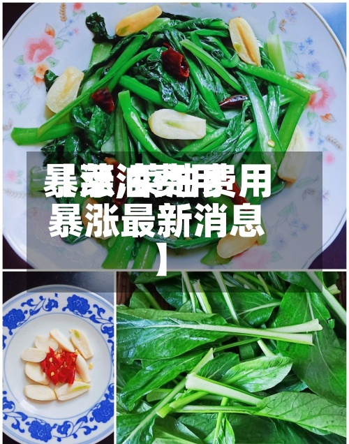 【菜油费用
暴涨,菜油费用
暴涨最新消息】-第2张图片