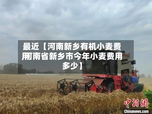 最近【河南新乡有机小麦费用
,河南省新乡市今年小麦费用
多少】-第3张图片